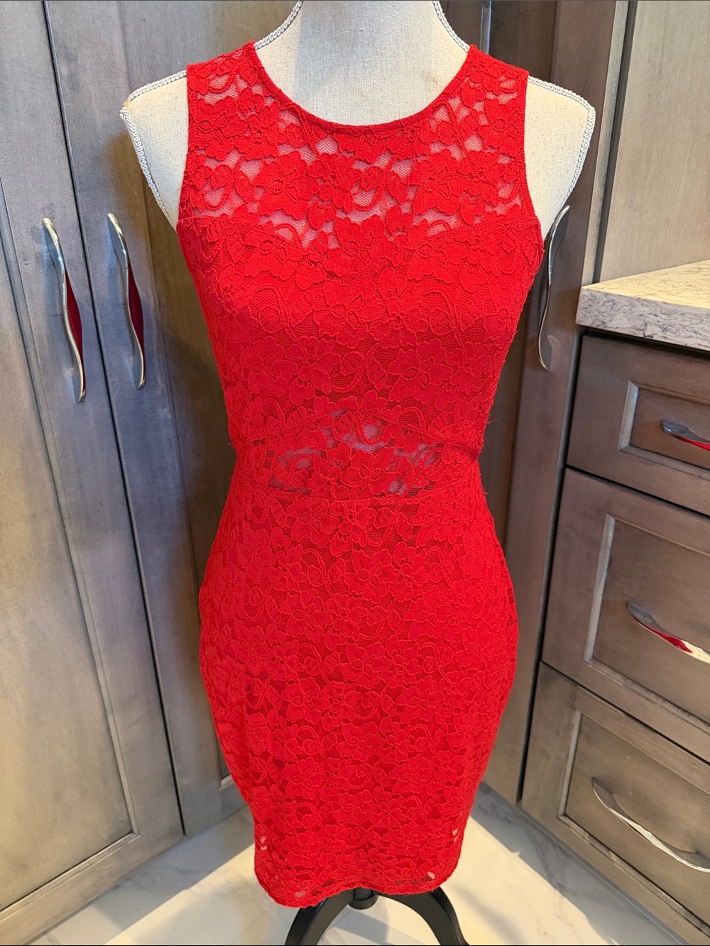 Express Brand Red Lace Sheath Dress